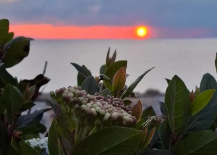 Apartment Sea-nature-wellness