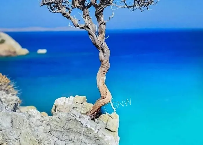 Sea-nature-wellness