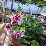 Sea-nature-wellness *