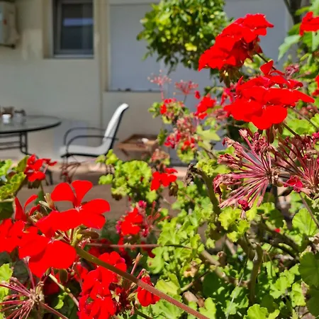 Sea-nature-wellness Apartament Kolymbia