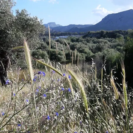 Sea-nature-wellness * Kolymbia
