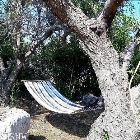 Sea-nature-wellness *