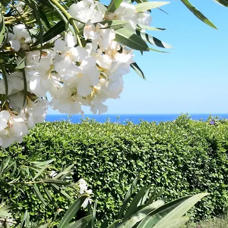 Sea-nature-wellness Apartment Kolymbia