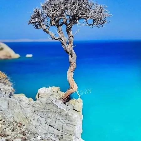 Sea-nature-wellness