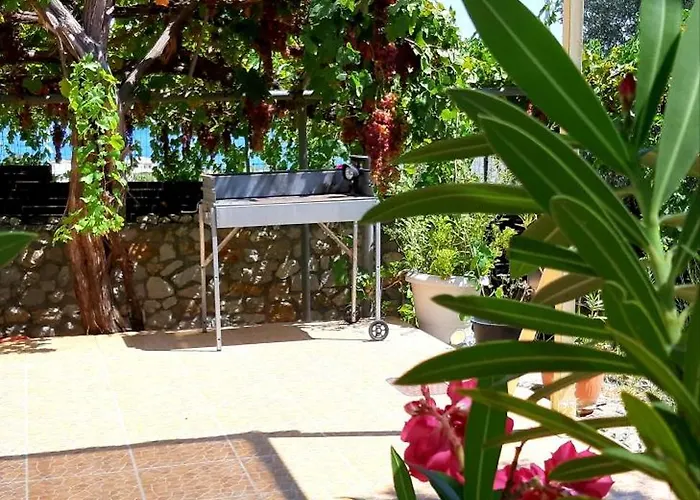 Sea-nature-wellness *