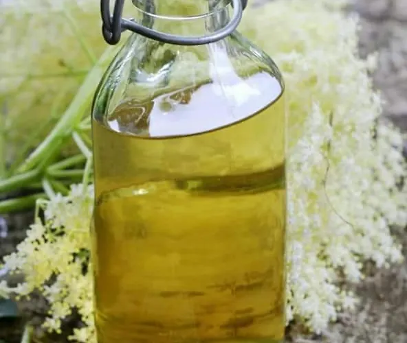 Sea-nature-wellness * Kolymbia