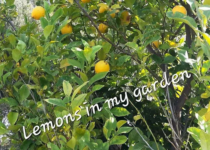 Sea-nature-wellness Apartament