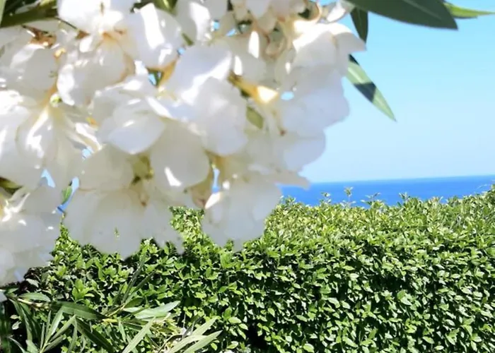 Sea-nature-wellness Apartament *