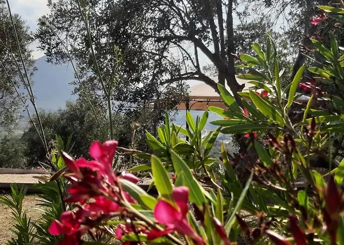 Apartament Sea-nature-wellness *