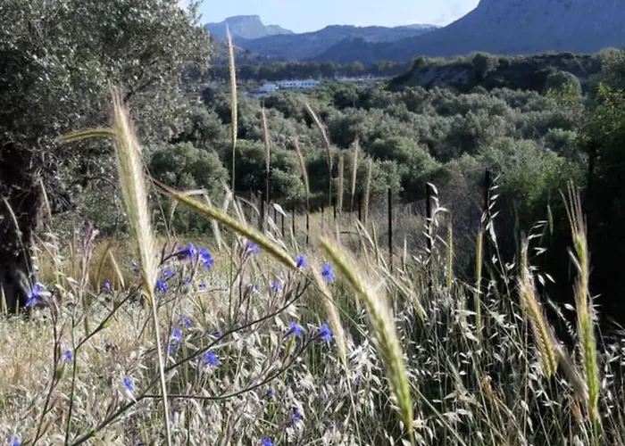 Sea-nature-wellness * Kolymbia