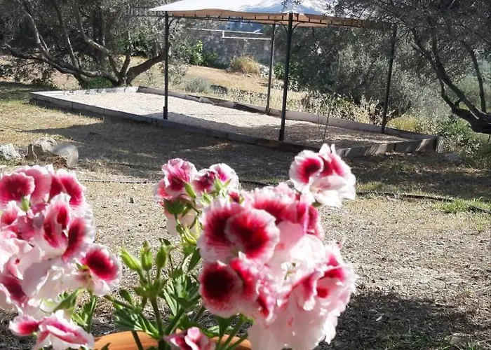 Apartament Sea-nature-wellness *