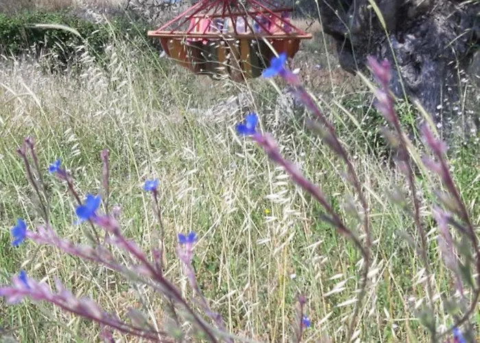 Sea-nature-wellness * Kolymbia