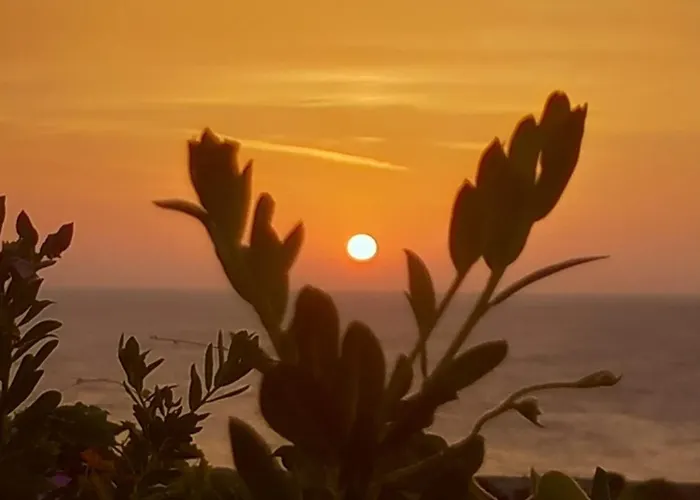 Sea-nature-wellness Apartament *