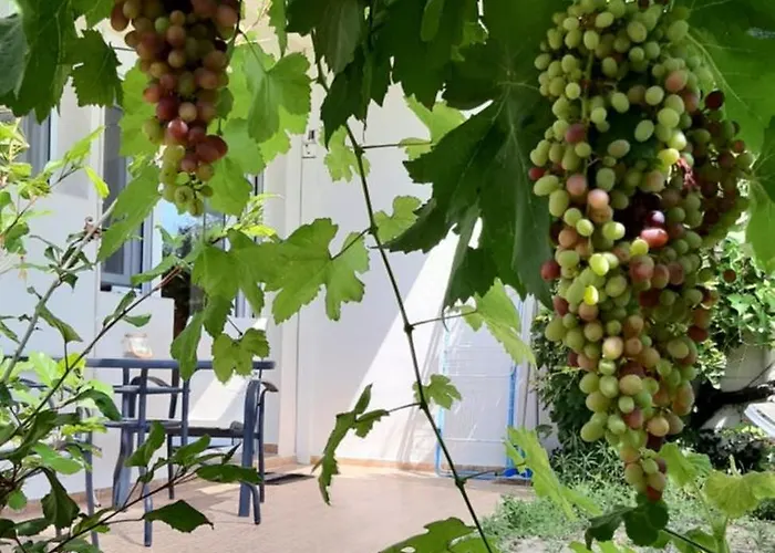 Sea-nature-wellness *