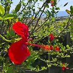 Sea-nature-wellness Апартаменты Колимбия