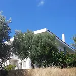 Sea-nature-wellness