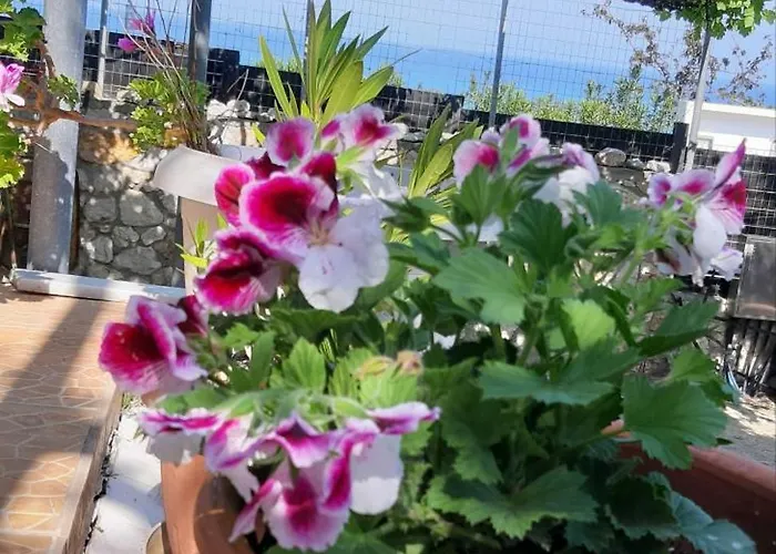 Sea-nature-wellness *