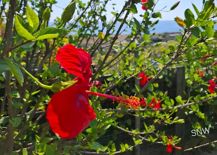 Sea-nature-wellness Lejlighed Kolymbia
