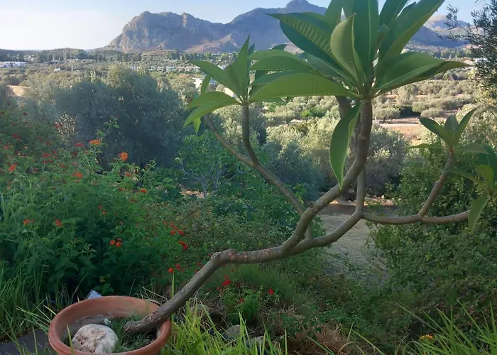 Sea-nature-wellness Kolymbia